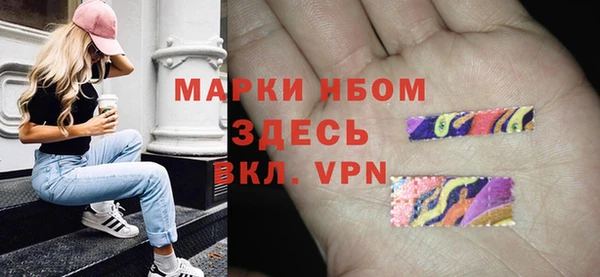 индика Михайловск