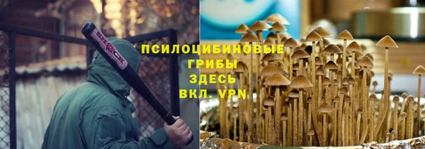 индика Михайловск