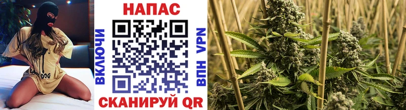 Купить закладки  Цимлянск  Бошки марихуана тримм 